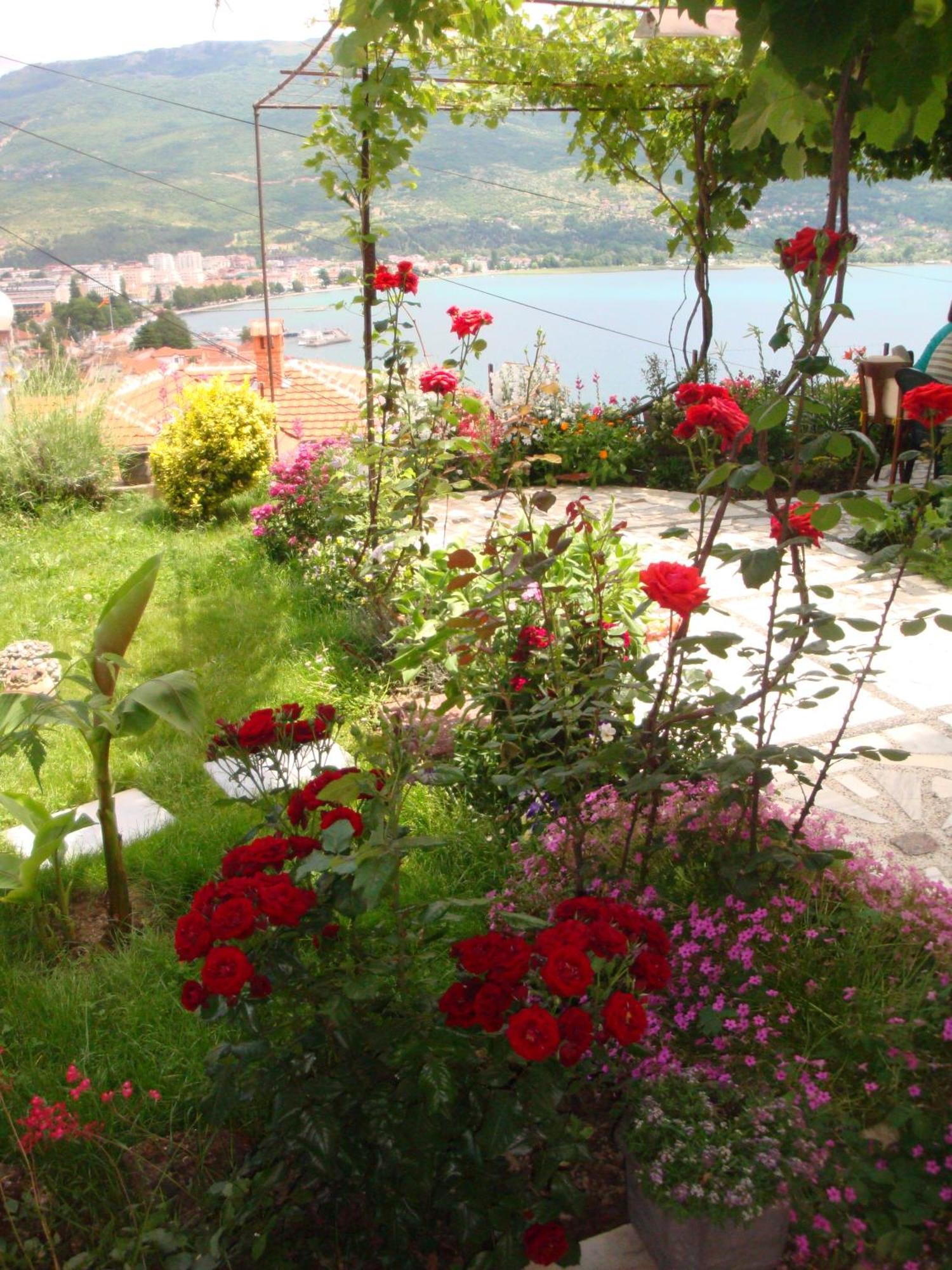 אוהריד Apartments Villa Saray מראה חיצוני תמונה