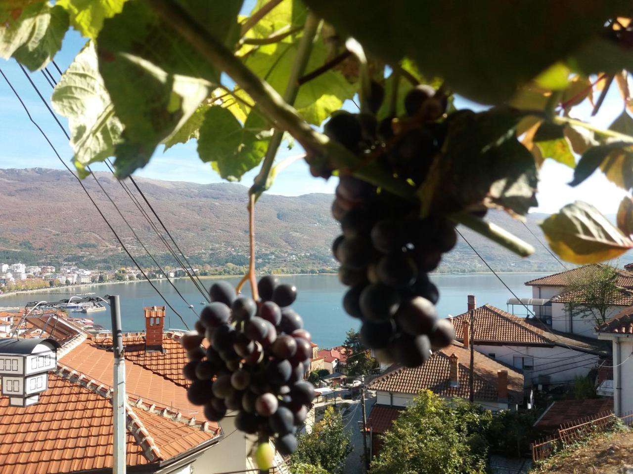 אוהריד Apartments Villa Saray מראה חיצוני תמונה